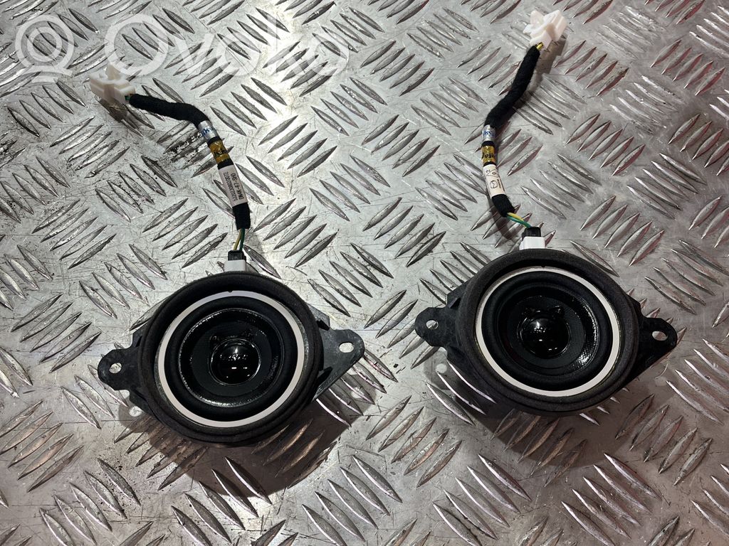Front door speaker   BGW566A60,BGW566A60