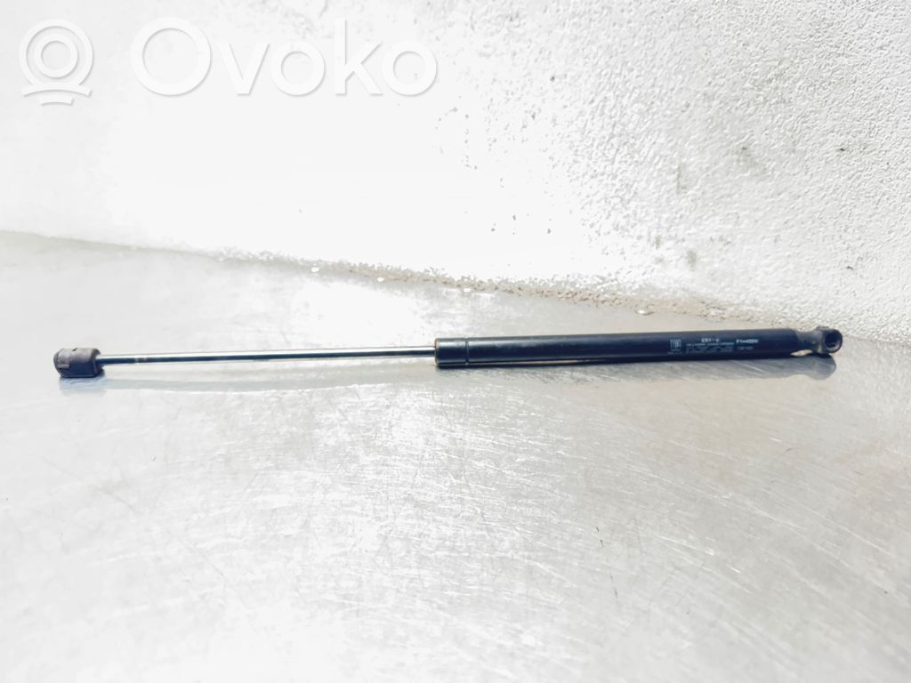 Ford Focus Tailgate/trunk strut/damper 