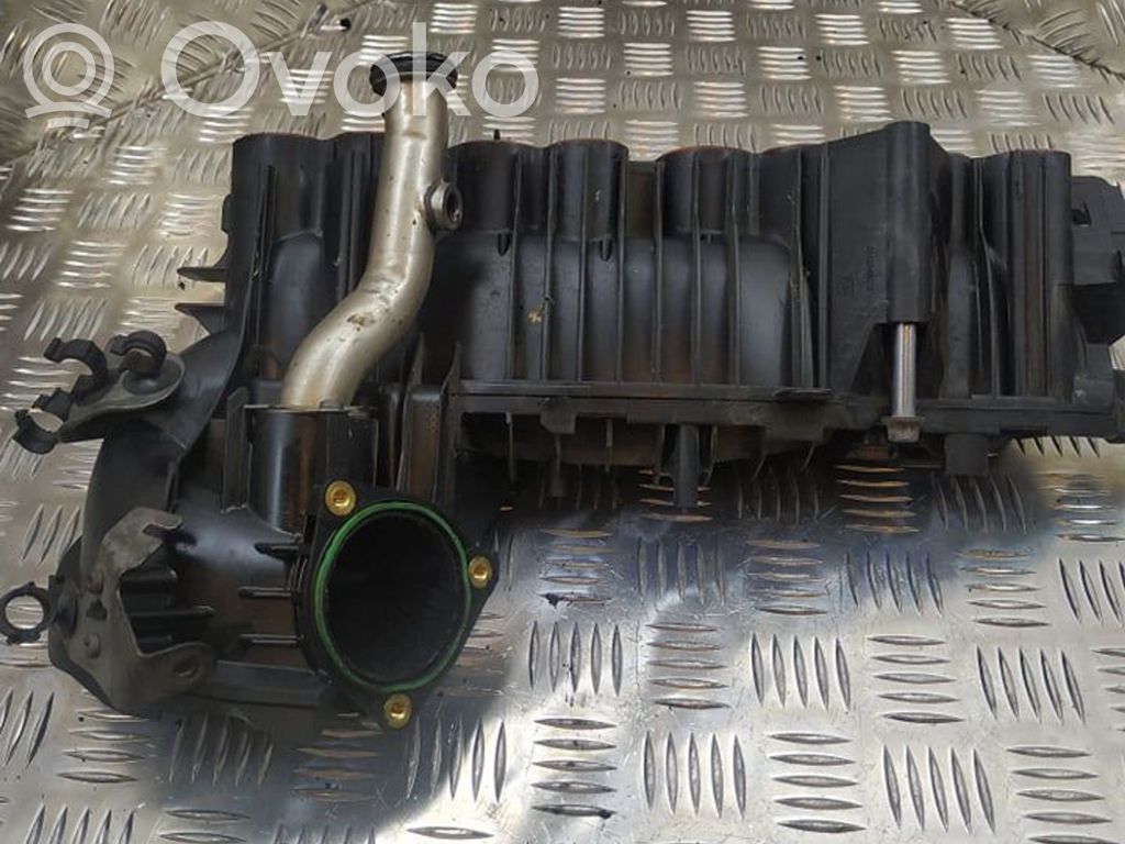 Kolektor ssący   781017902