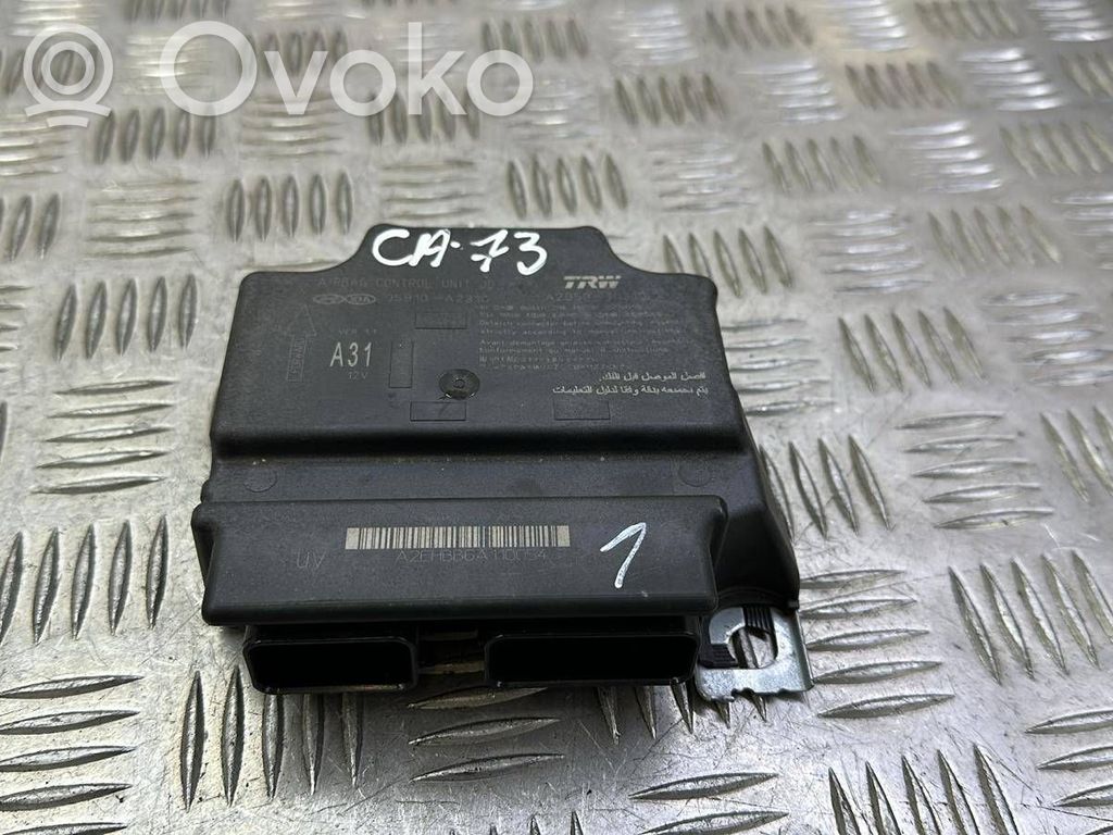Airbag control unit/module   95910A2310