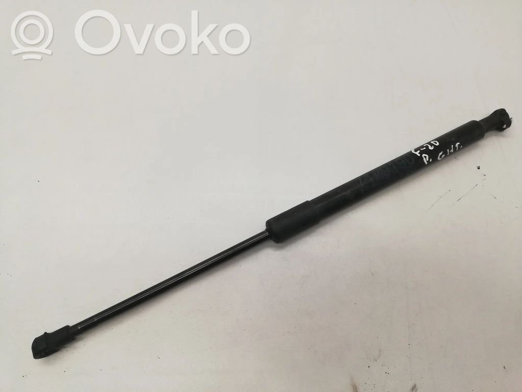 BMW 1 F20 F21 Amortizatorius variklio dangčio 
