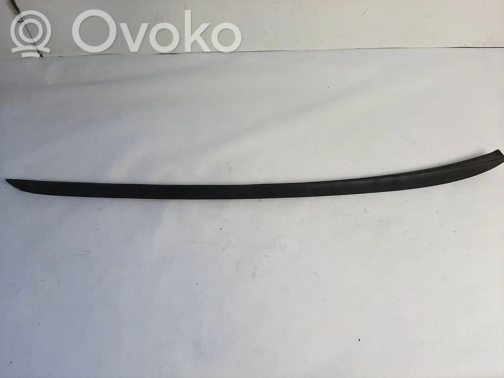 Ford Focus Windshield trim 