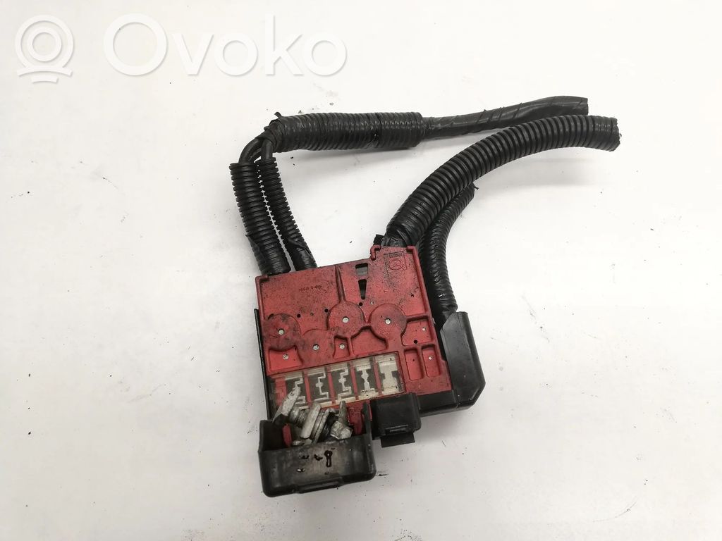 Positive cable (battery)