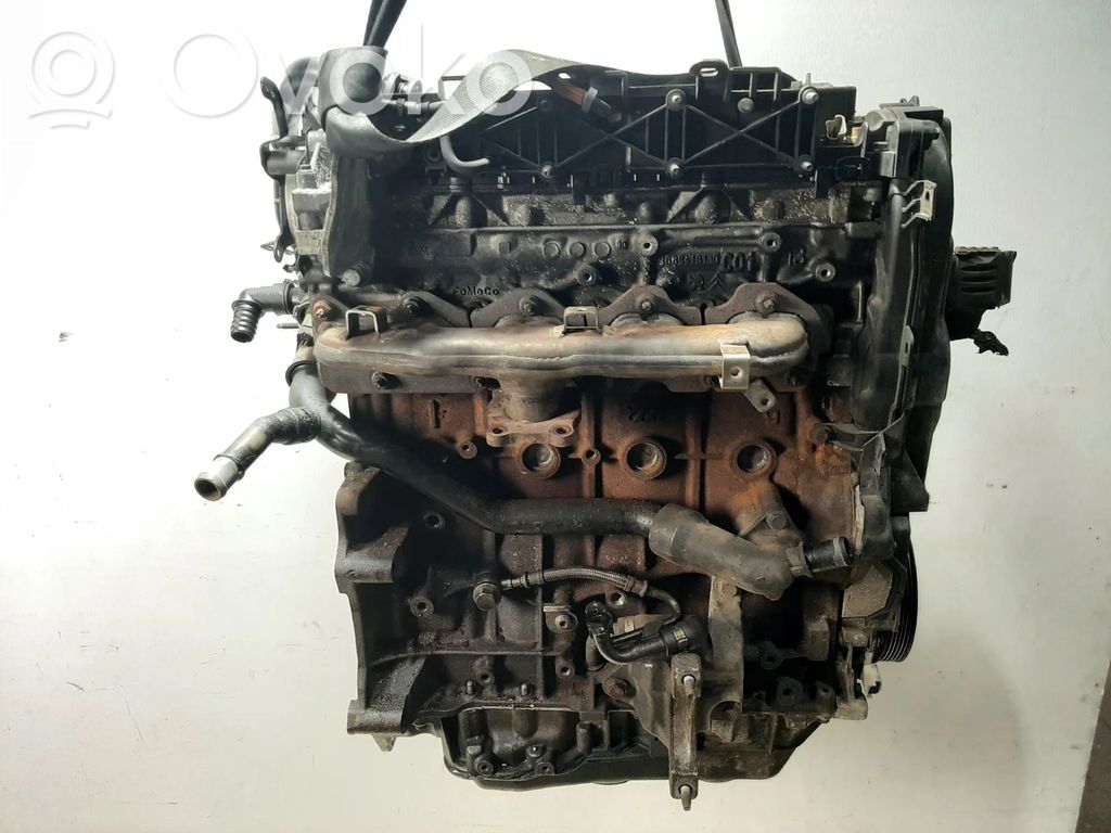 Ford Focus Motor 