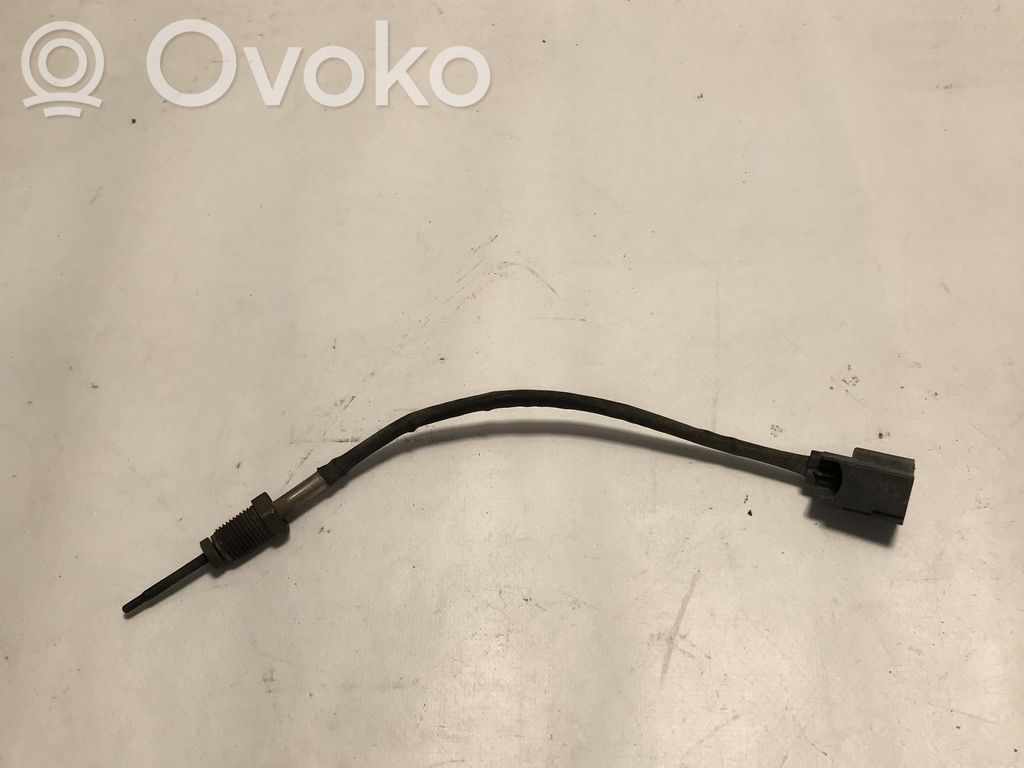 Ford Fiesta Išmetamųjų dujų temperatūros daviklis 