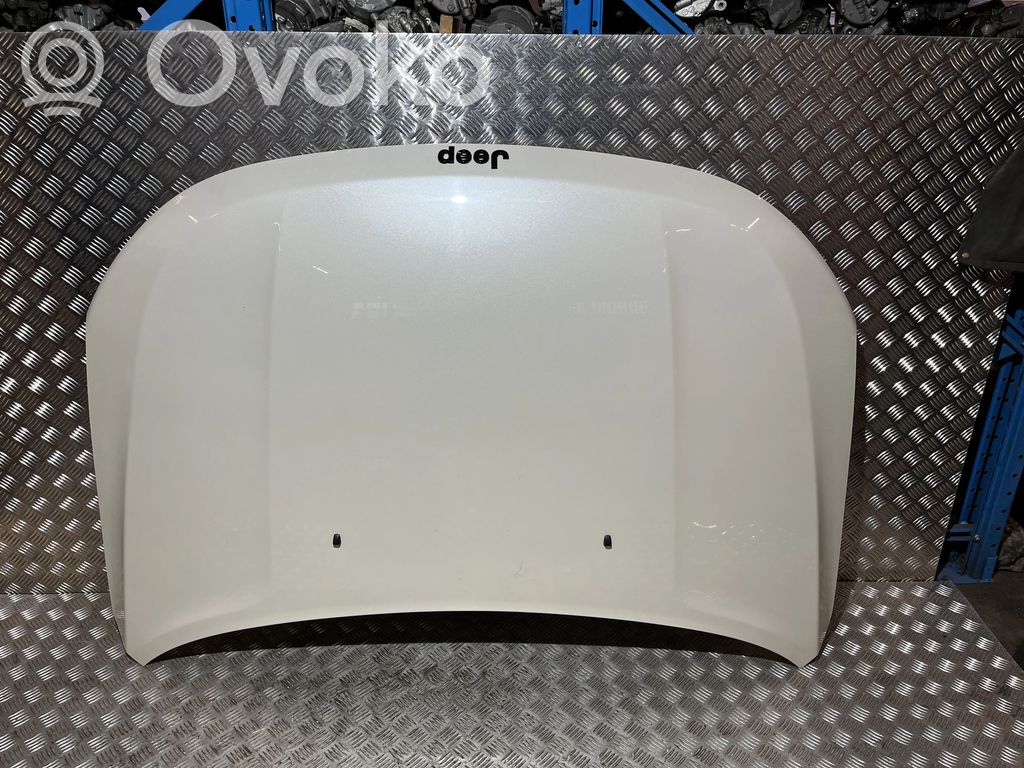 Engine bonnet/hood   DG29428,DG29428