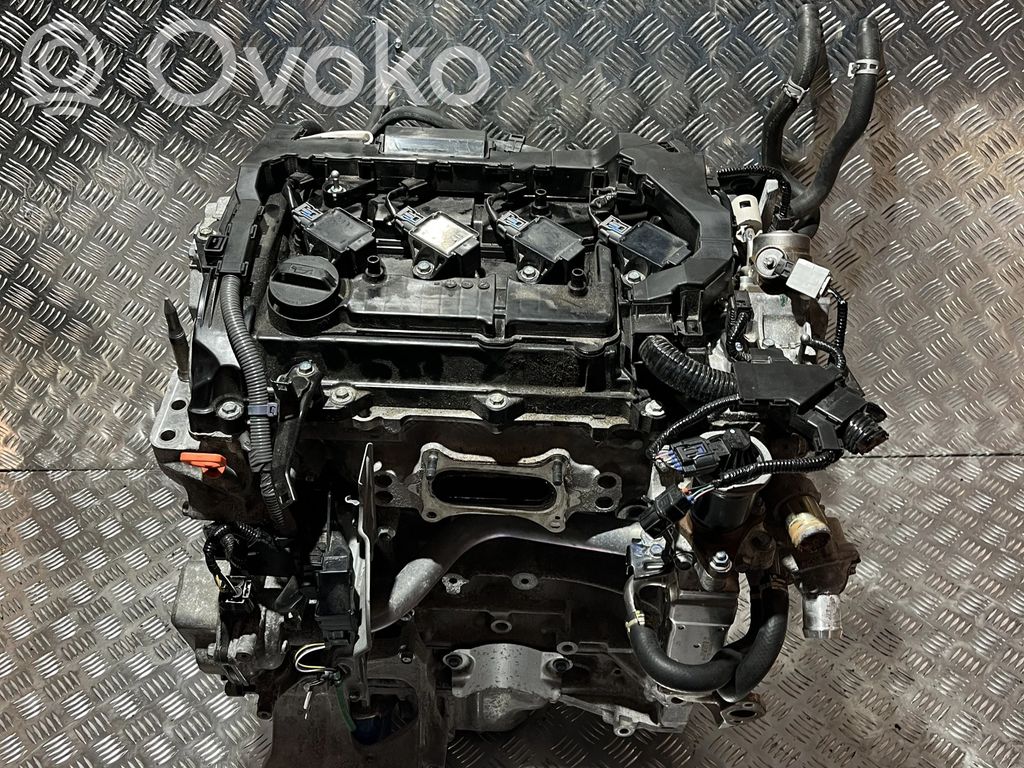 Motor   DG29573,LFB17