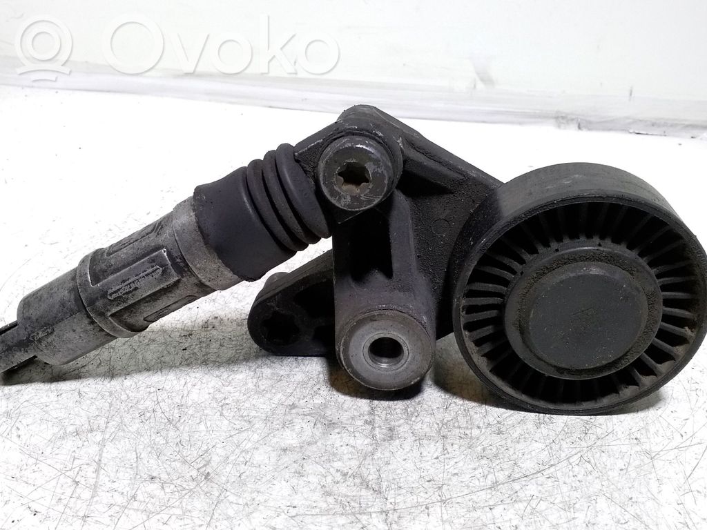 Audi A8 S8 D3 4E Generatoriaus diržo įtempėjas 
