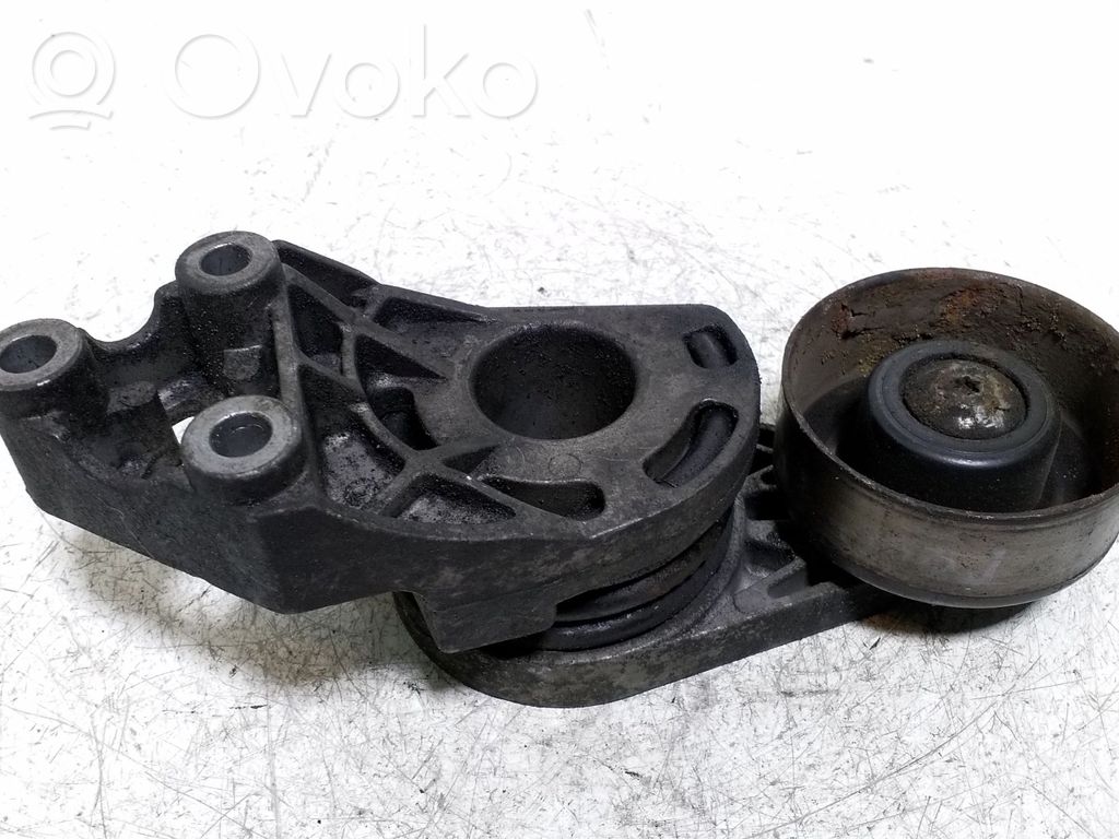 Volkswagen Polo Generatoriaus diržo įtempėjas 