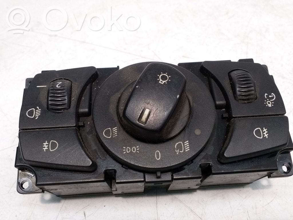 Light switch   6953739