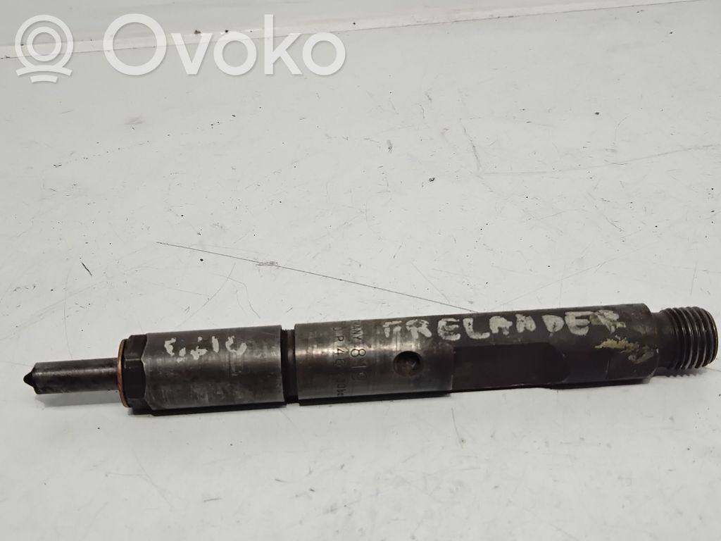 Land Rover Freelander Inyector de combustible 