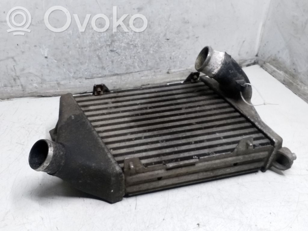 Audi A8 S8 D3 4E Interkūlerio radiatorius 