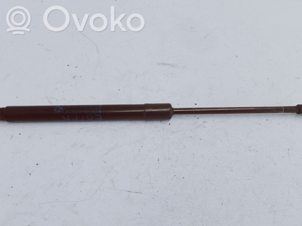 Amortizor capotă motor   51237118370