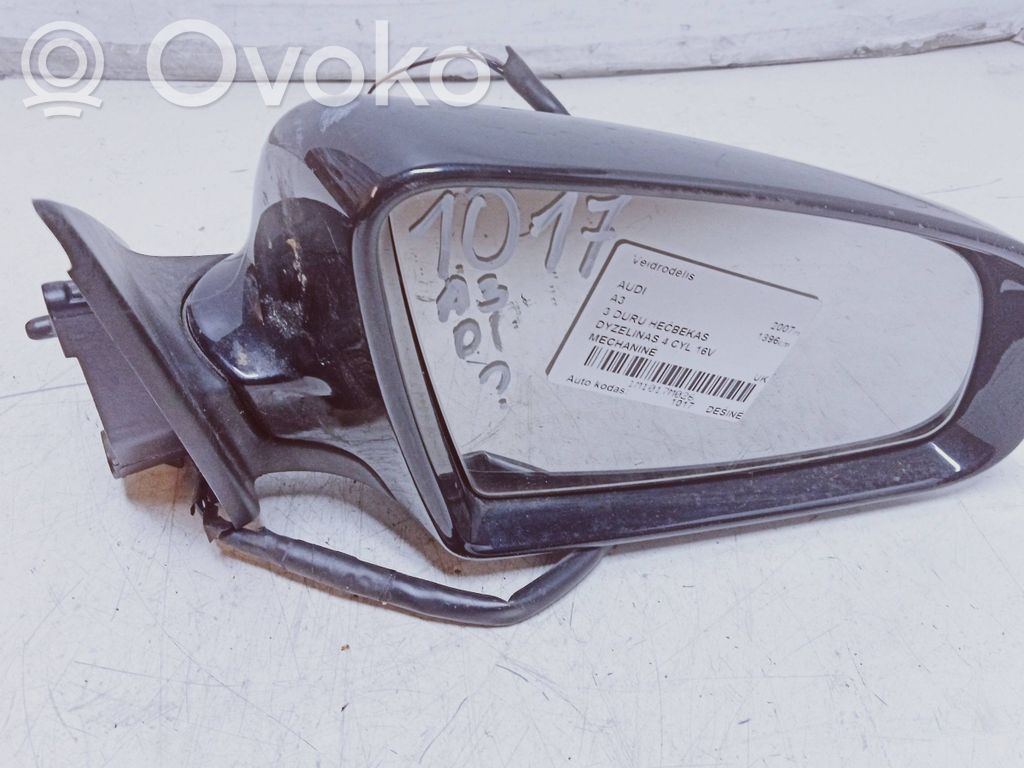 Audi A3 S3 8P Front door electric wing mirror 