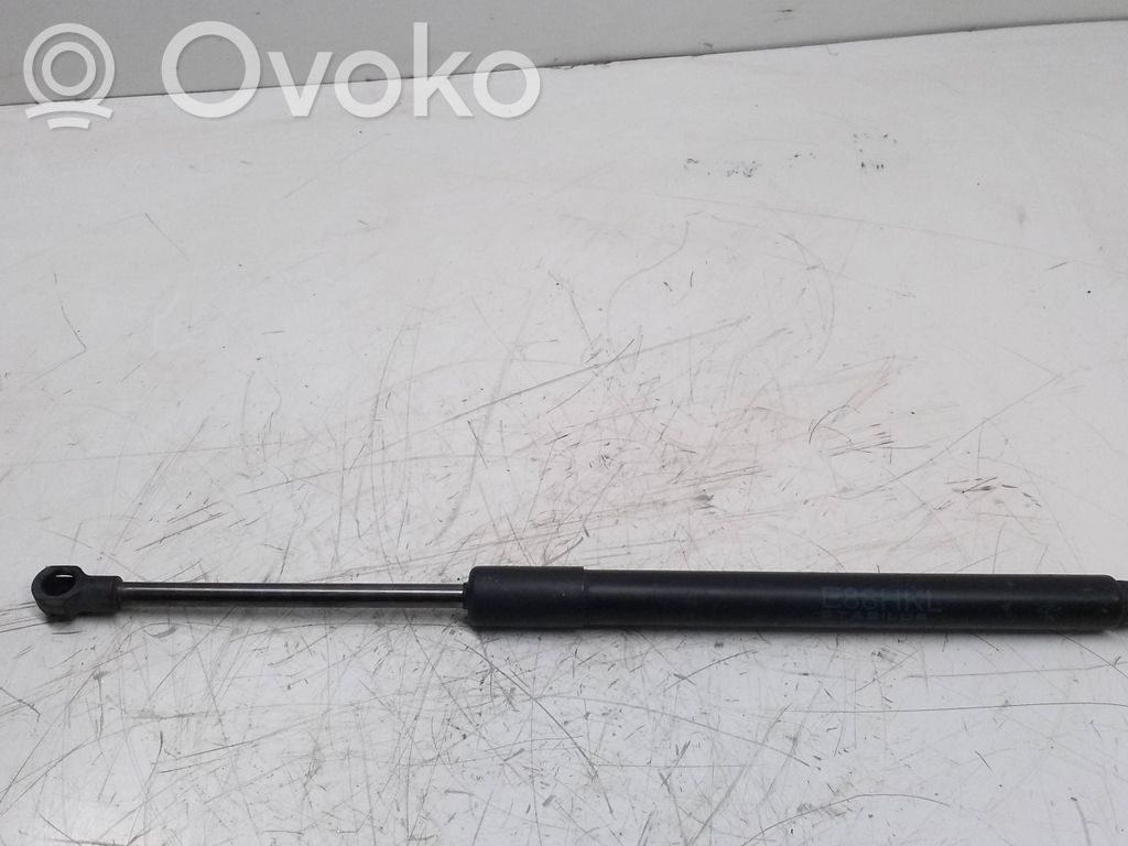 Tailgate/trunk strut/damper   7166758,0698WT0260N