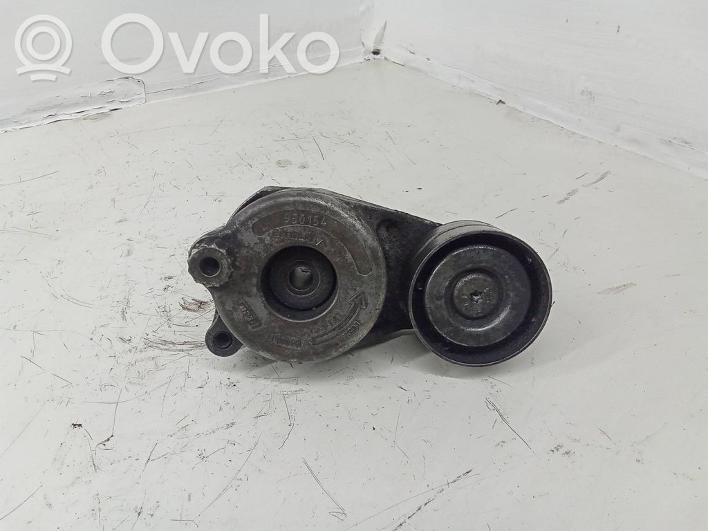 Mercedes-Benz S W221 Napinacz paska wielorowkowego / Alternatora 