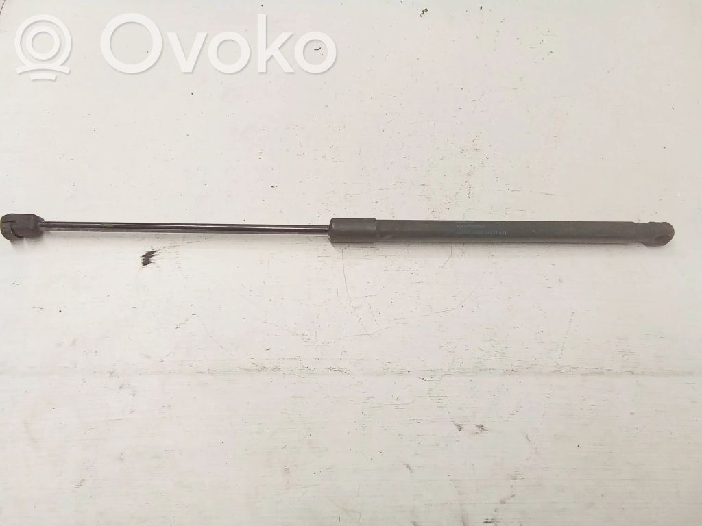 Skoda Yeti (5L) Tailgate/trunk strut/damper 