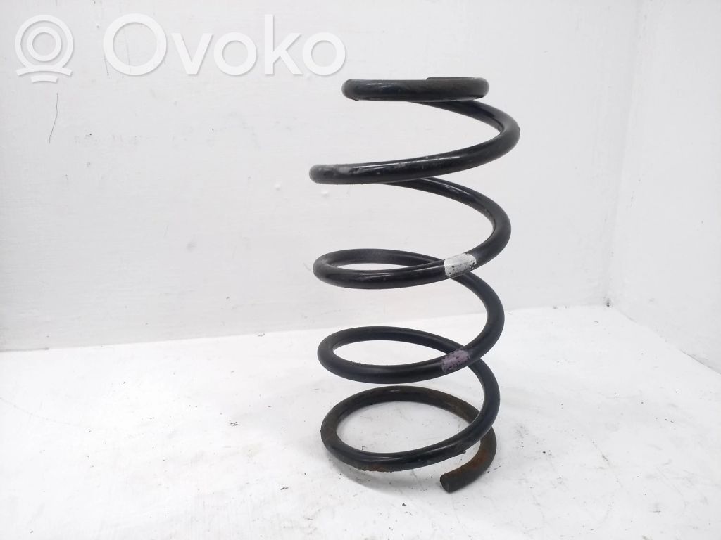 Front coil spring