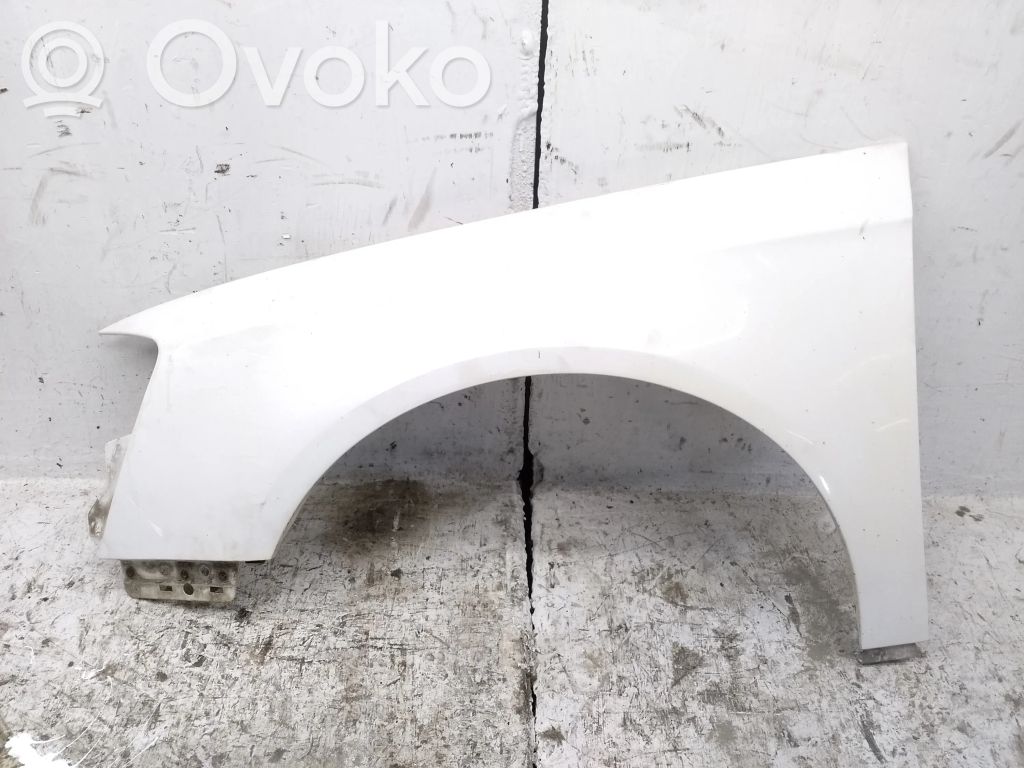 Volkswagen PASSAT B6 Guardabarro 
