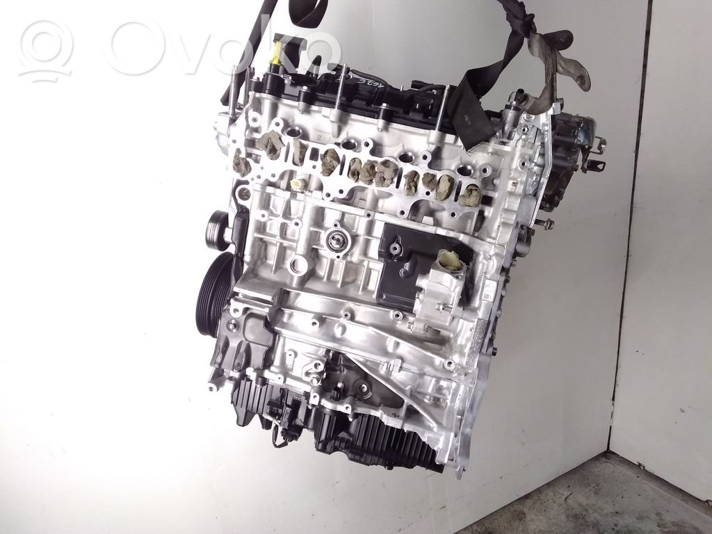 Variklis   HF01,HF3,HF10258908
