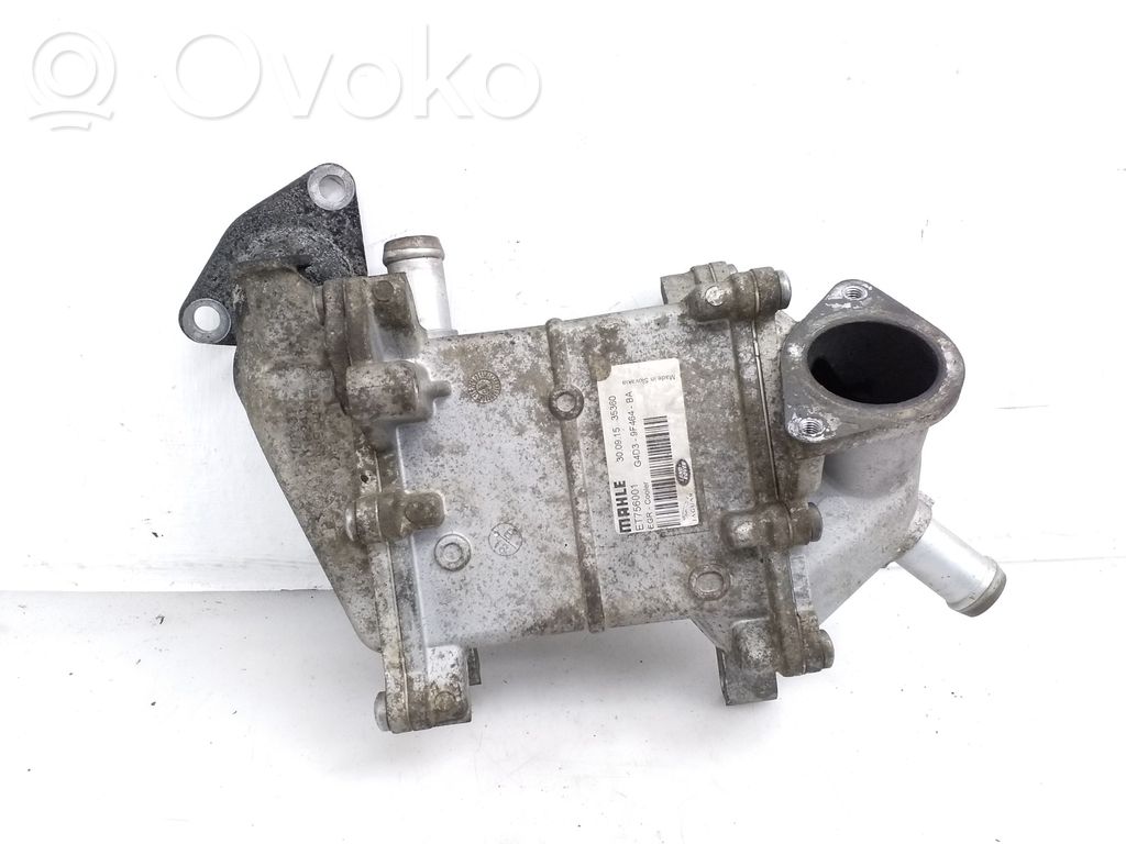 Land Rover Range Rover Evoque L538 EGR aušintuvas 