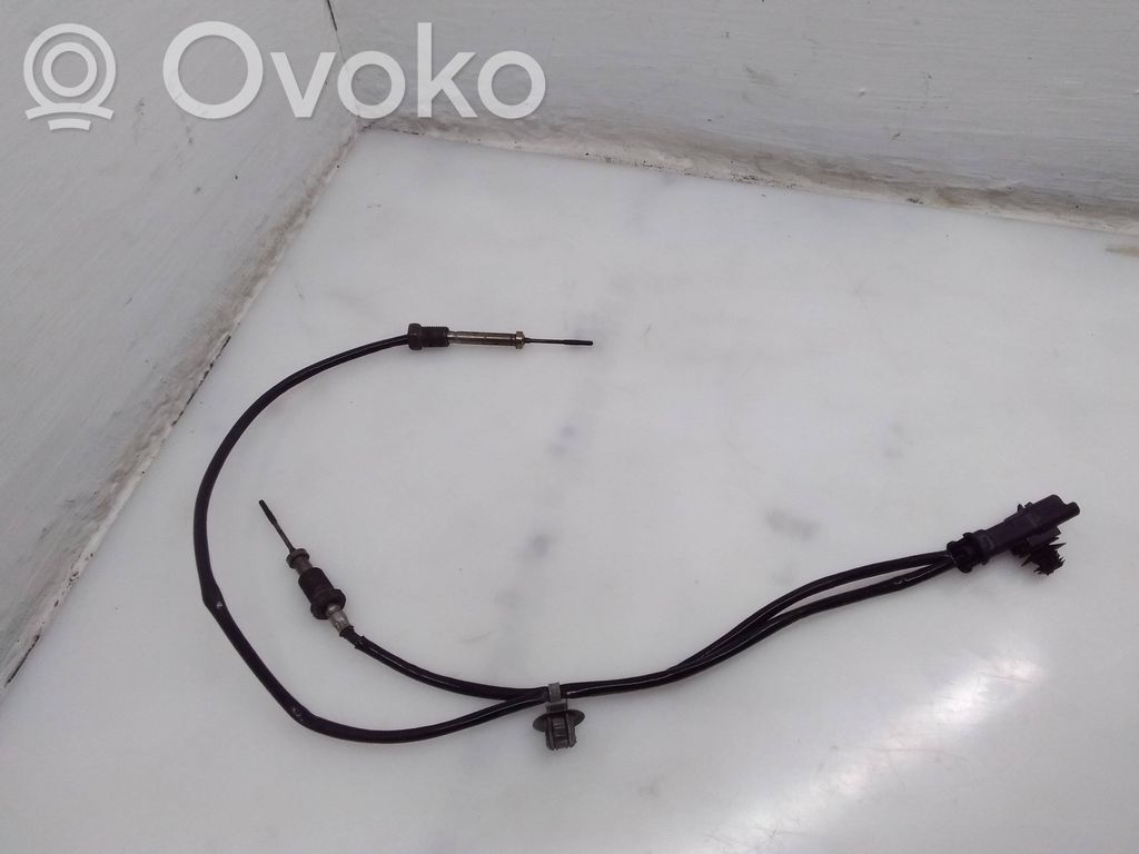 Peugeot 3008 II Izplūdes gāzu temperatūras sensors 