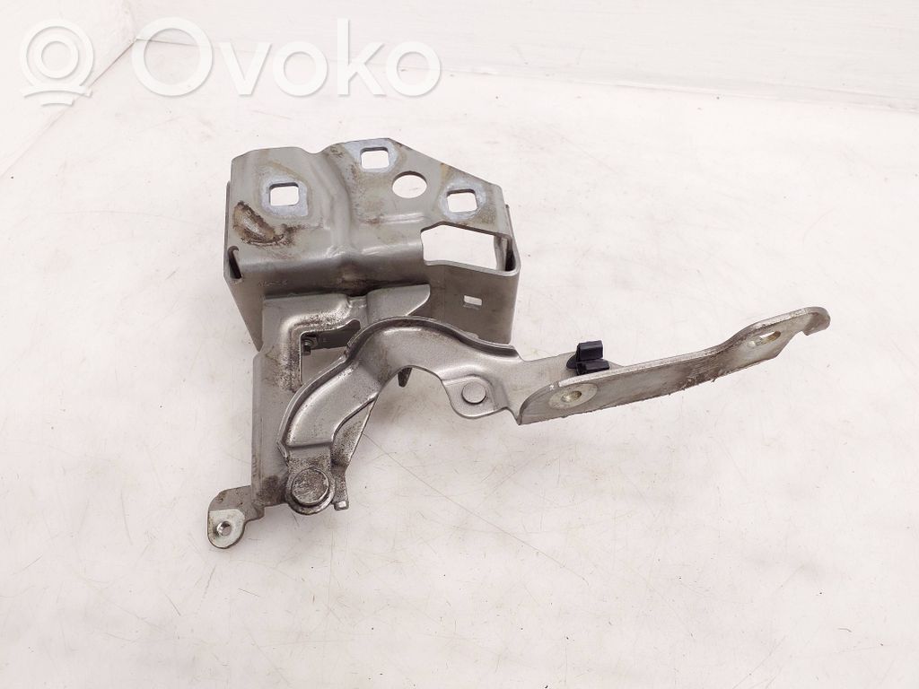 Renault Trafic III (X82) Cerniere del vano motore/cofano 