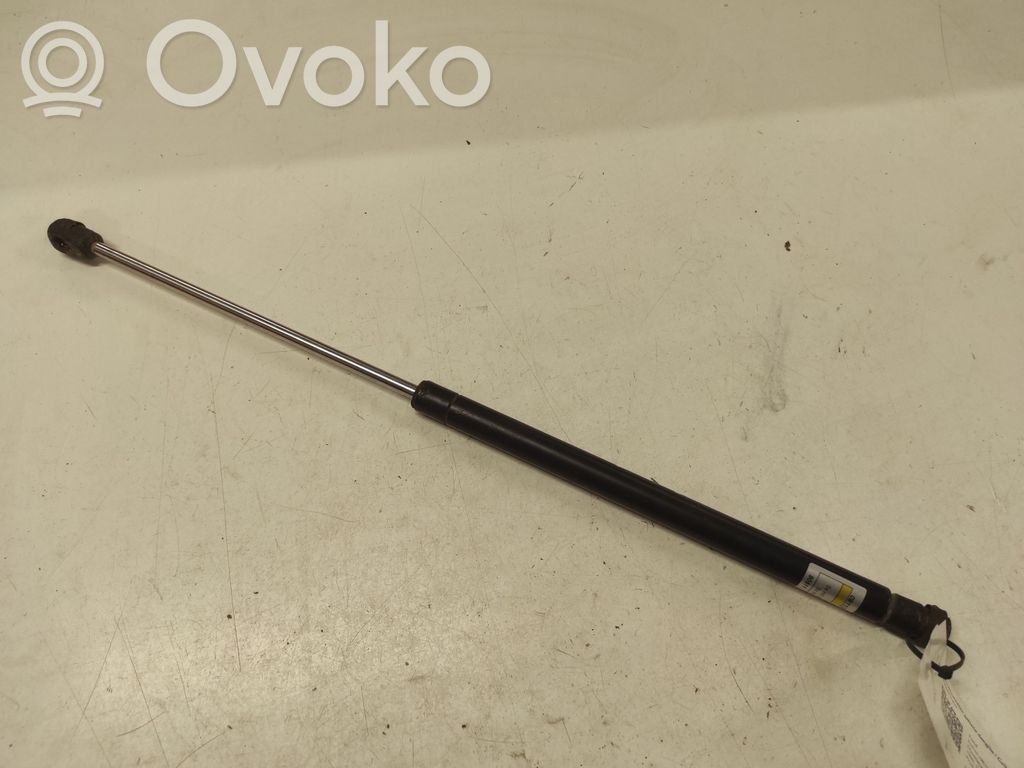 Tailgate/trunk strut/damper   1089418