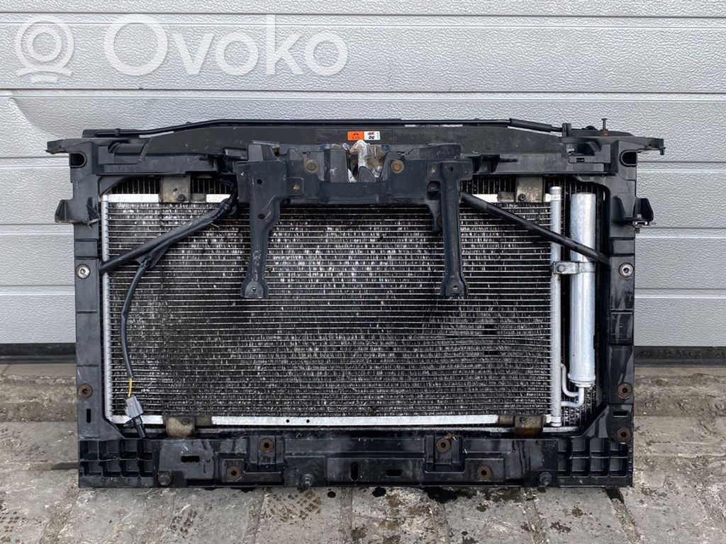 Radiator set   L510,1030708