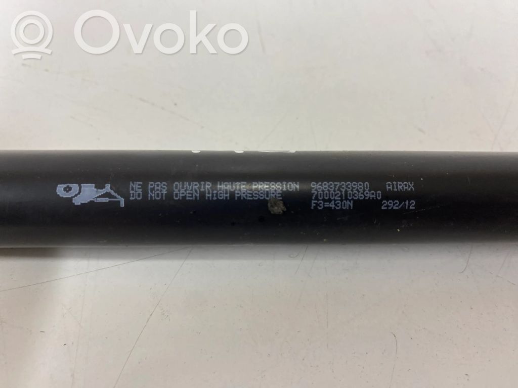 Citroen C3 Tailgate/trunk strut/damper 