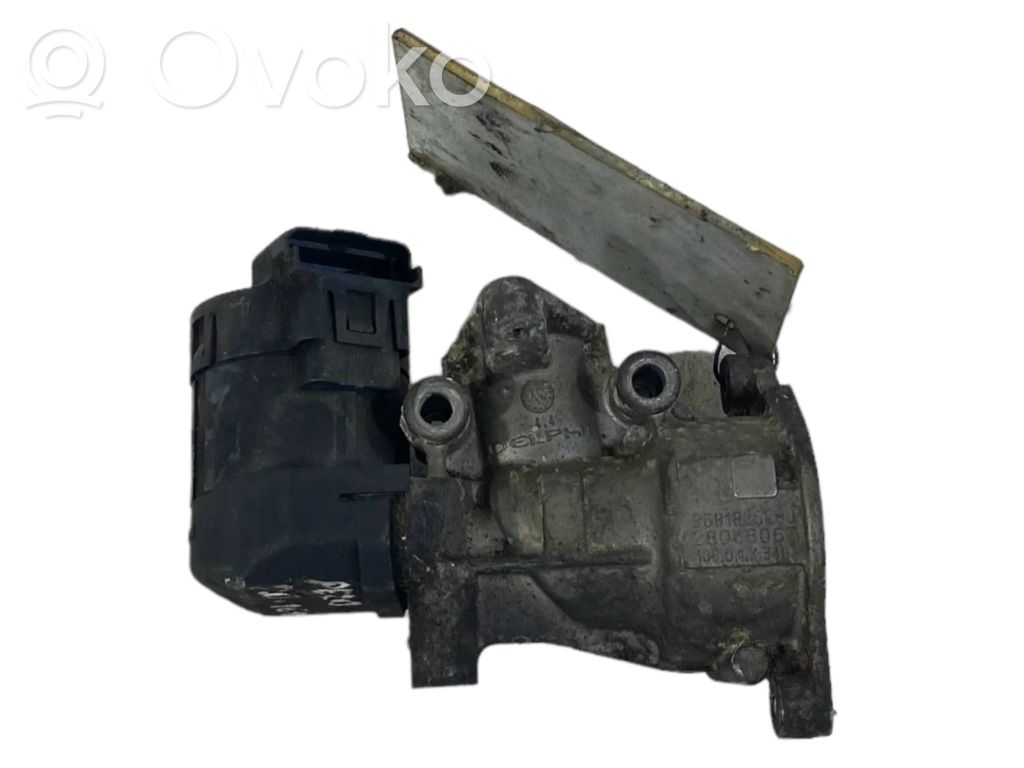 Peugeot 307 Zawór EGR 