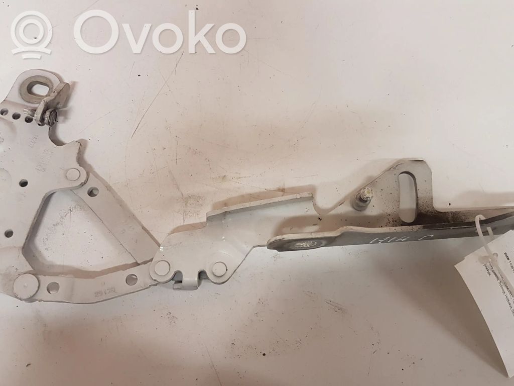 BMW 1 F20 F21 Bisagras del capó/tapa del motor