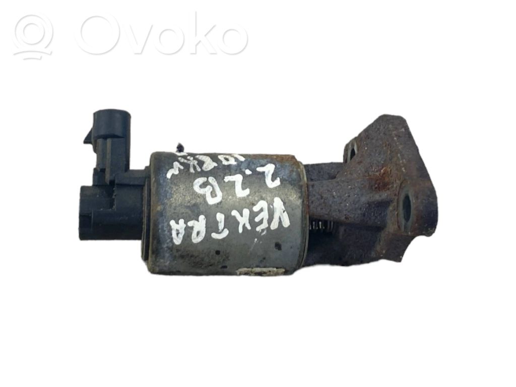 Válvula EGR   533890104,021505C