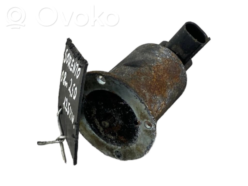 KIA Sorento Valvola EGR
