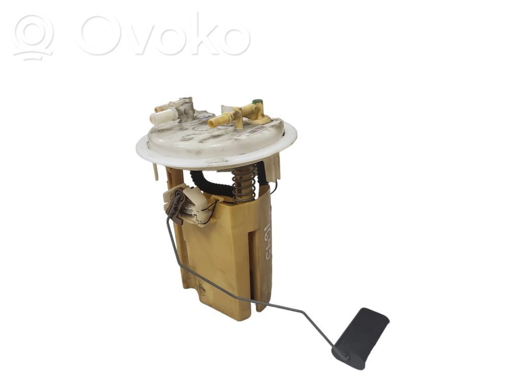 Citroen C5 In-tank fuel pump 
