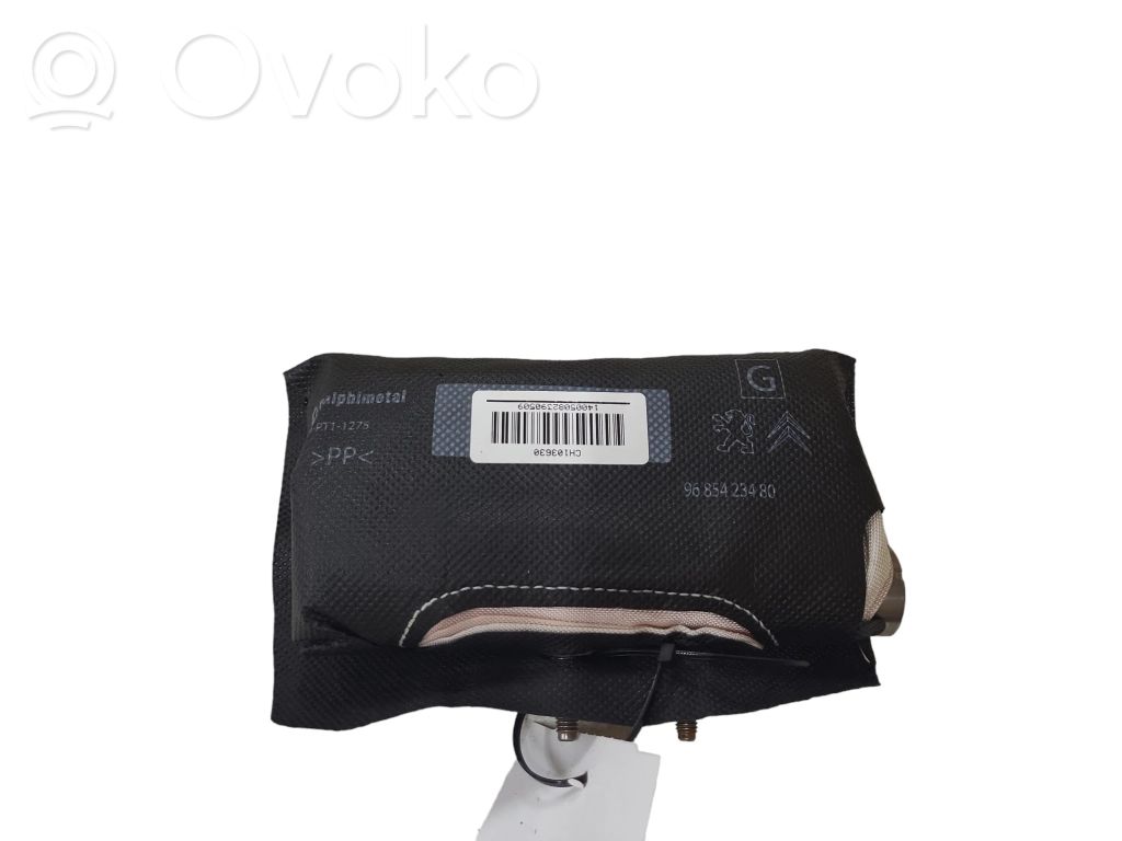 Citroen C5 Airbag scaun 