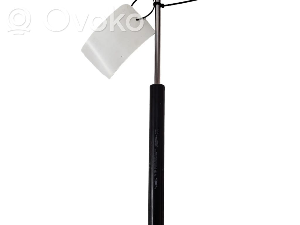 Citroen C5 Ammortizzatore portellone posteriore/bagagliaio 