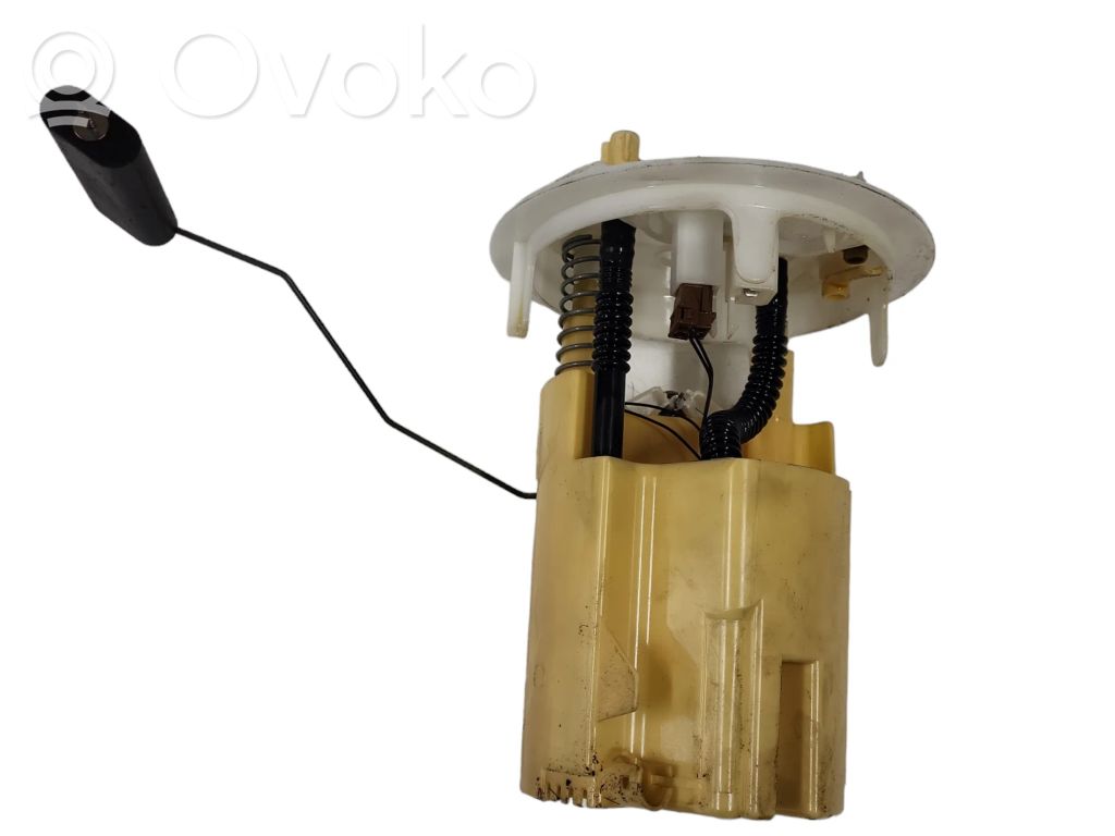 Citroen C5 In-tank fuel pump 