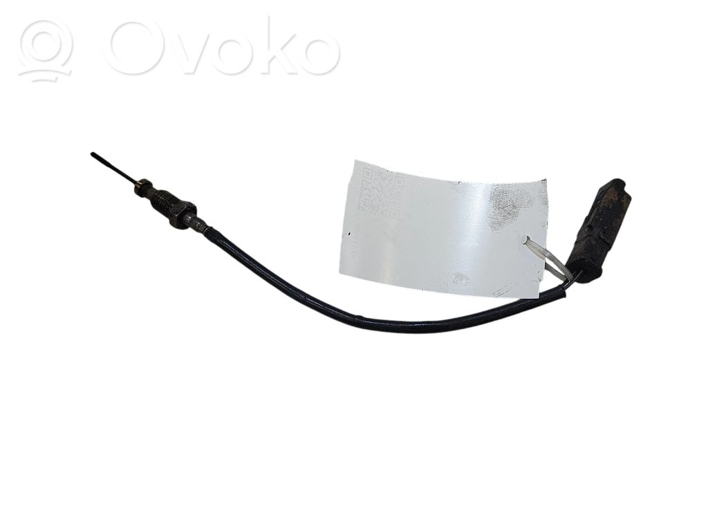Abgastemperatursensor   9687879680
