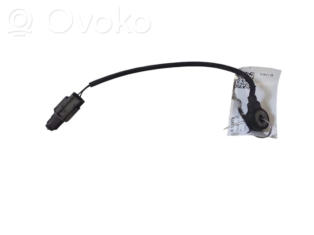 Ford Connect Detonacinis daviklis 