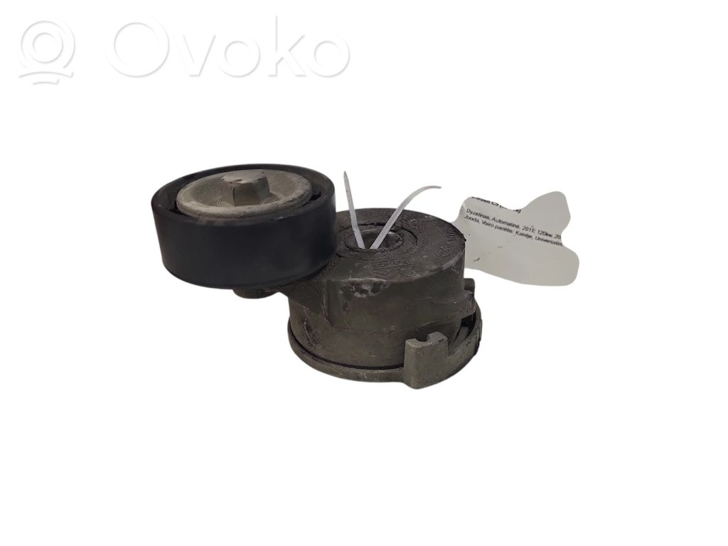 Citroen C5 Tendicinghia generatore/alternatore