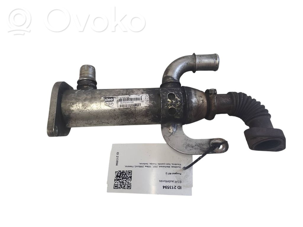 Peugeot 407 Valvola di raffreddamento EGR