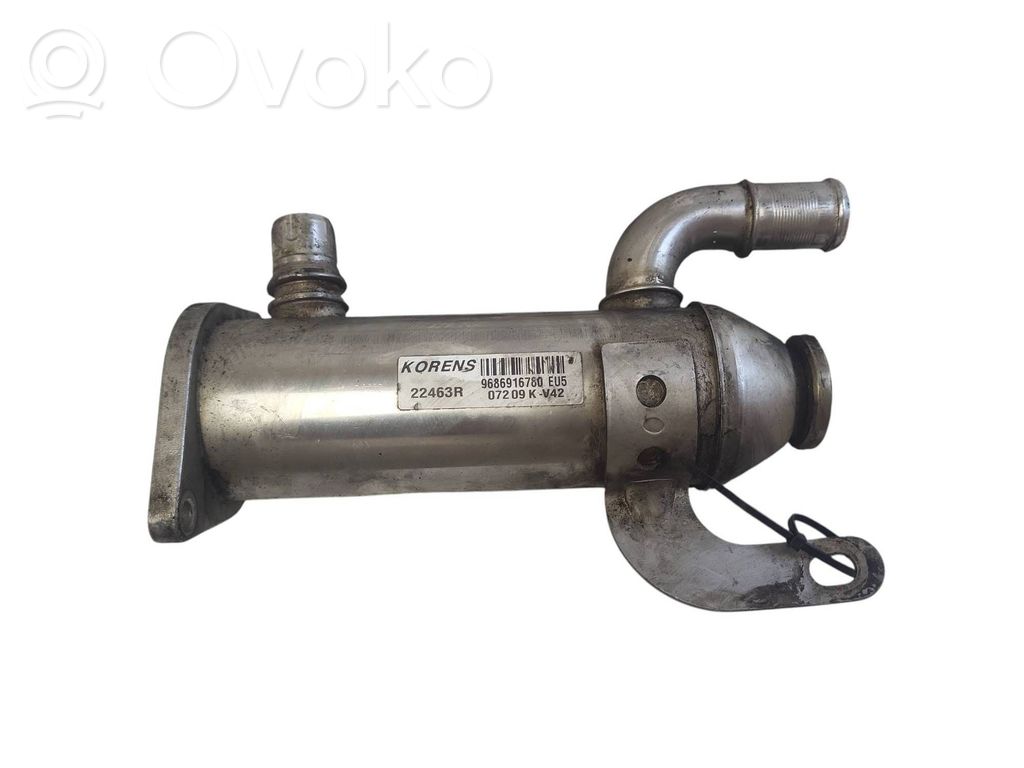 Peugeot 407 Chłodnica spalin EGR 