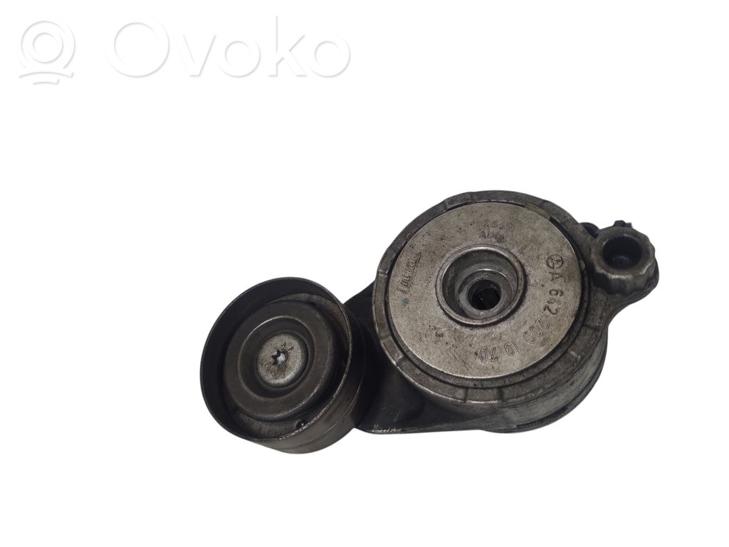 Mercedes-Benz CLS C218 X218 Tendicinghia generatore/alternatore