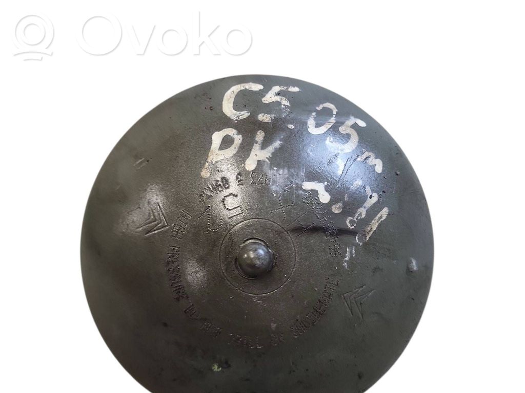 Citroen C5 Priekinė pneumatinė (oro) pagalvė 