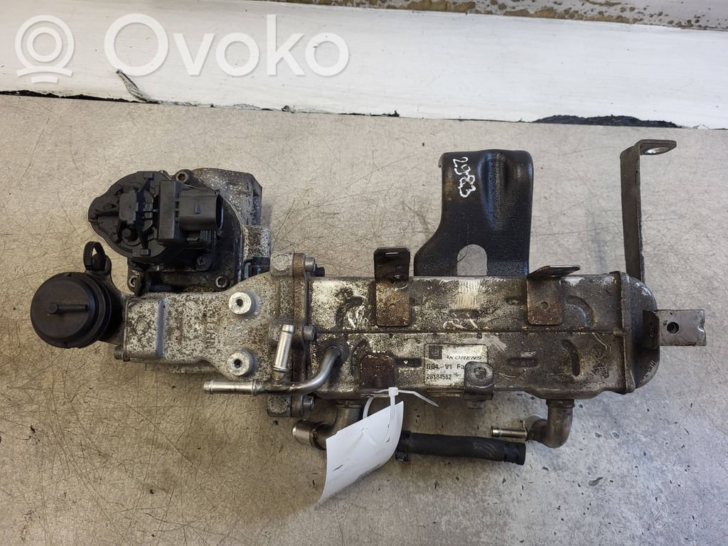 Opel Antara Valvola EGR 