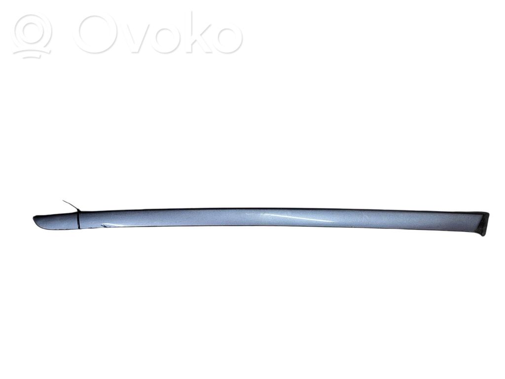 Citroen C5 Windshield trim 
