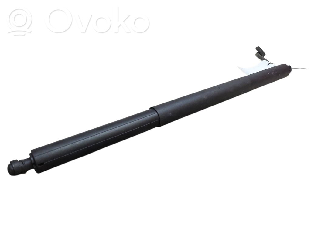 Tesla Model Y Ammortizzatore portellone posteriore/bagagliaio 