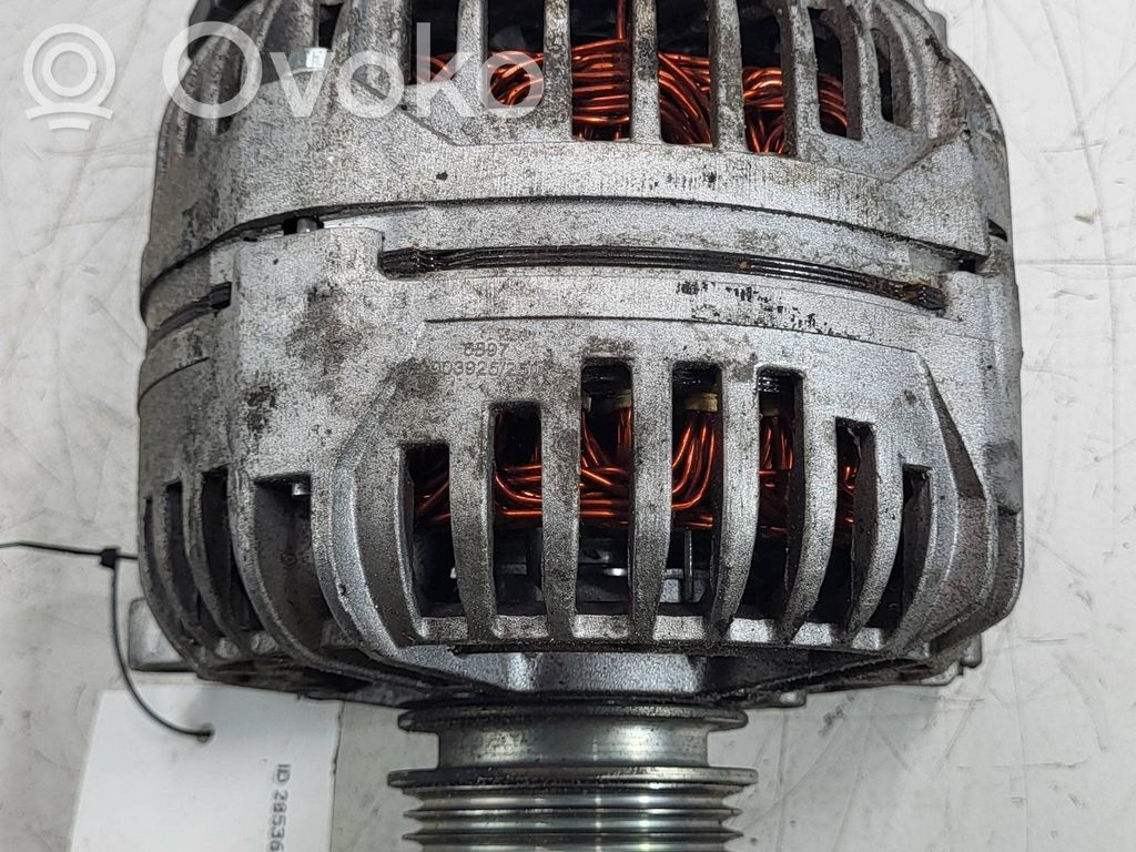 Generator/alternator   124525050
