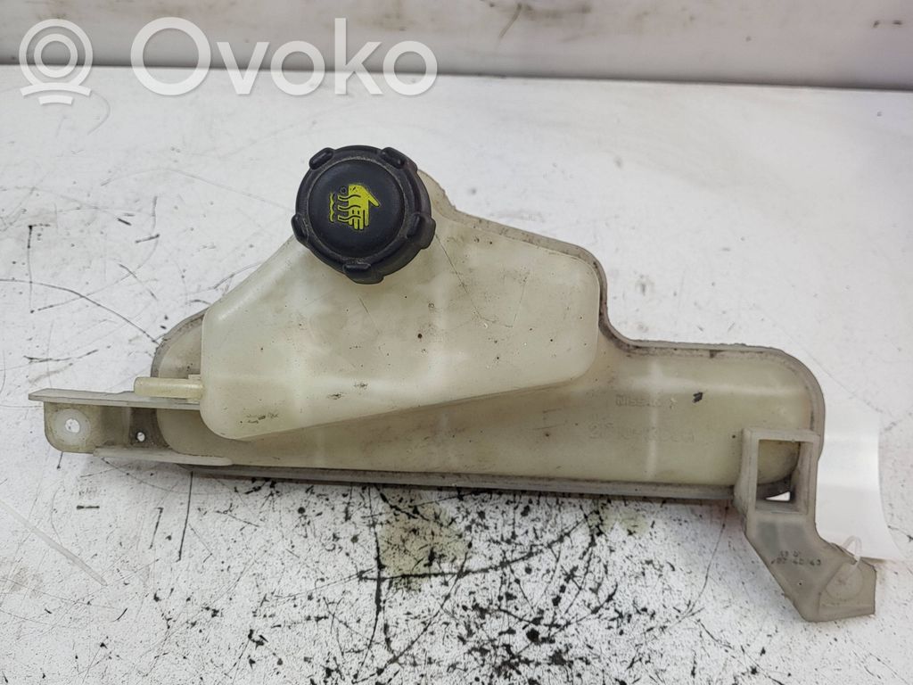Nissan Juke I F15 Serbatoio di compensazione del liquido refrigerante/vaschetta